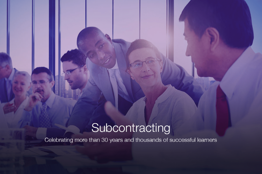 Mentor guiding a learner